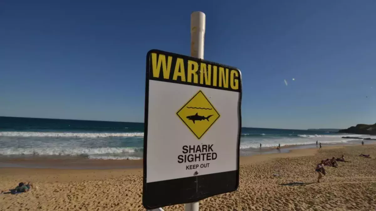 Australian surfer dies after being attacked by a shark