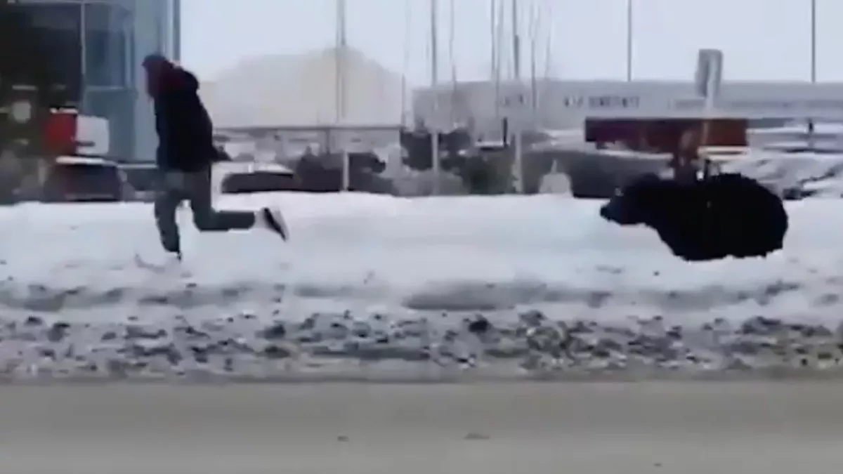 Bear chases Russian man across town