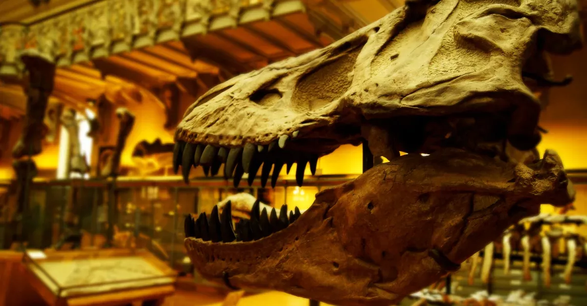 Because It Gnawed At Bones, This Dinosaur Had Teeth That Grew Back Every Two Months