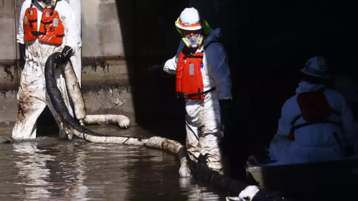 Bird and sea life could be endangered for years by California oil spill