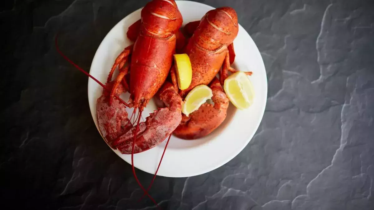Boiling lobsters alive may soon be illegal as report suggests they have feelings