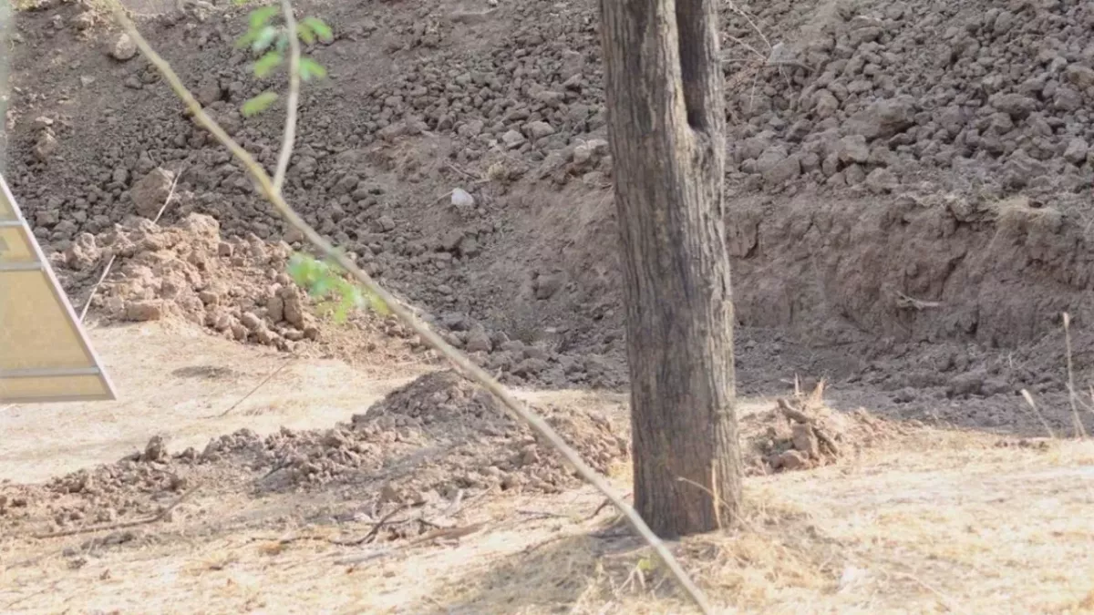 Can you spot the leopard in the photo?