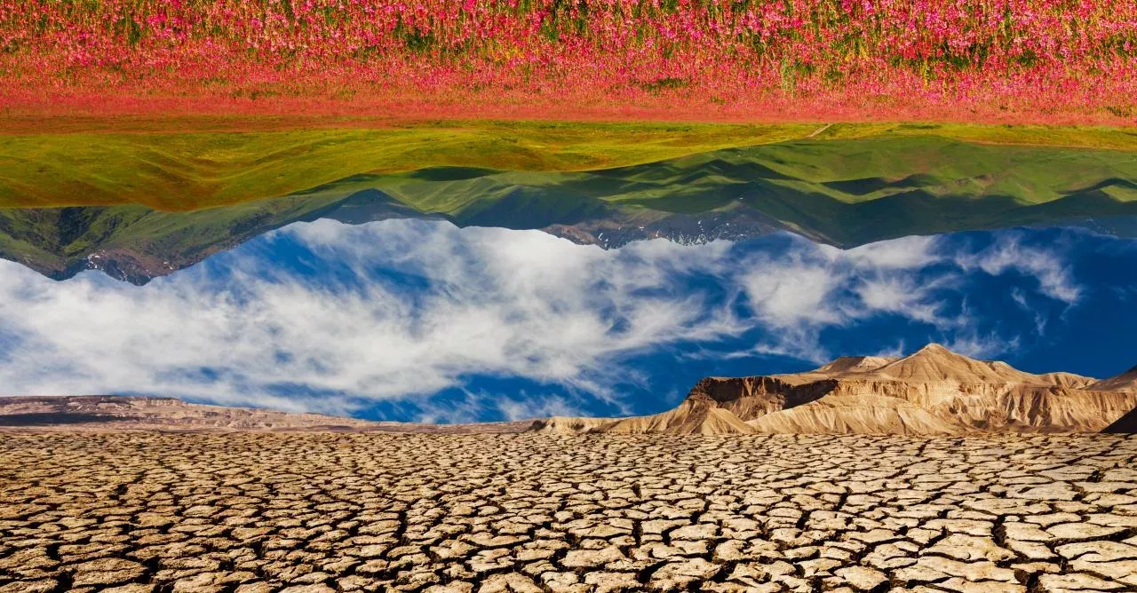 Climate Change