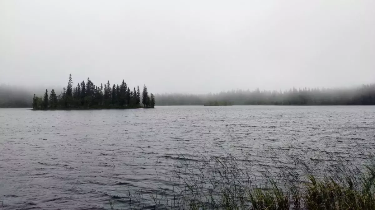 This deadly underwater lake will kill anything that enters it