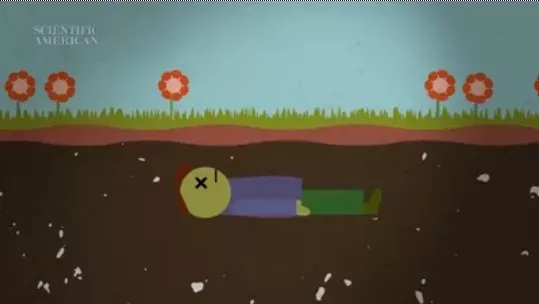 Death