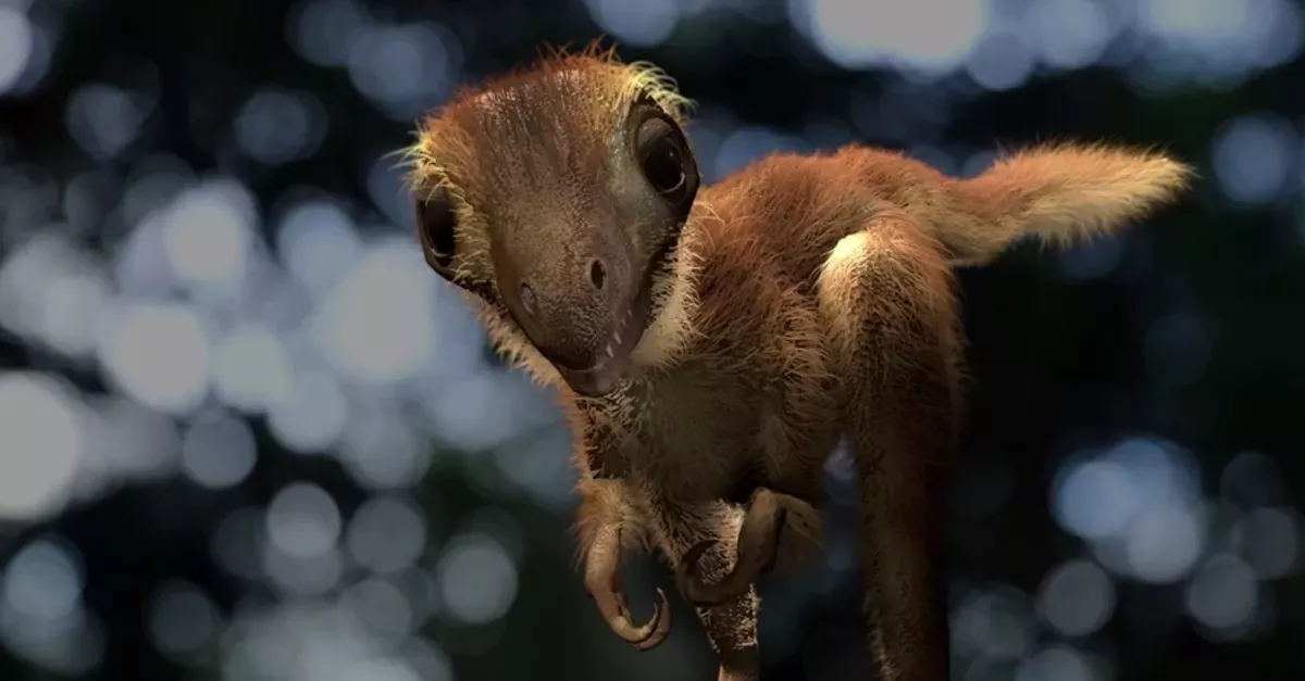We Finally Know What A Baby T Rex Really Looked Like Gentside We Finally Know What A Baby T Rex Really Looked Like Gentside