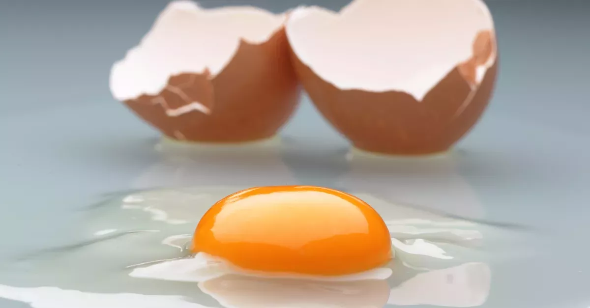 Egg