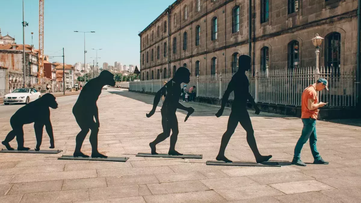 Evolution