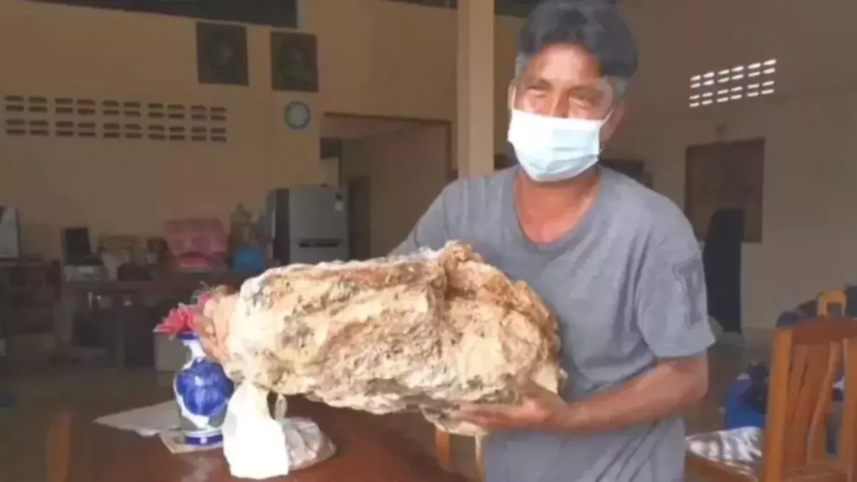 Fisherman to become a millionaire after discovering 30 kilos of whale vomit
