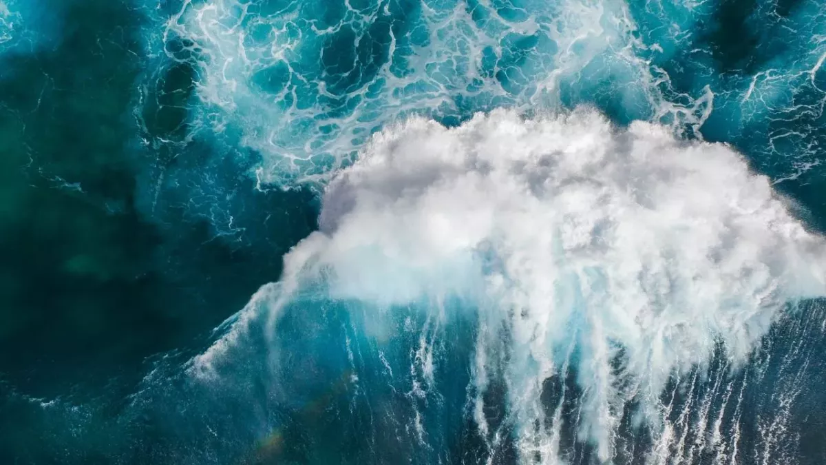 Fluorescent waves