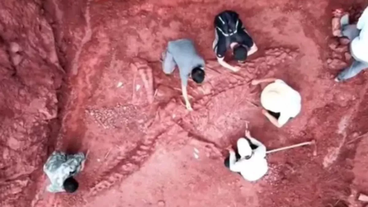 Giant Dinosaur in China