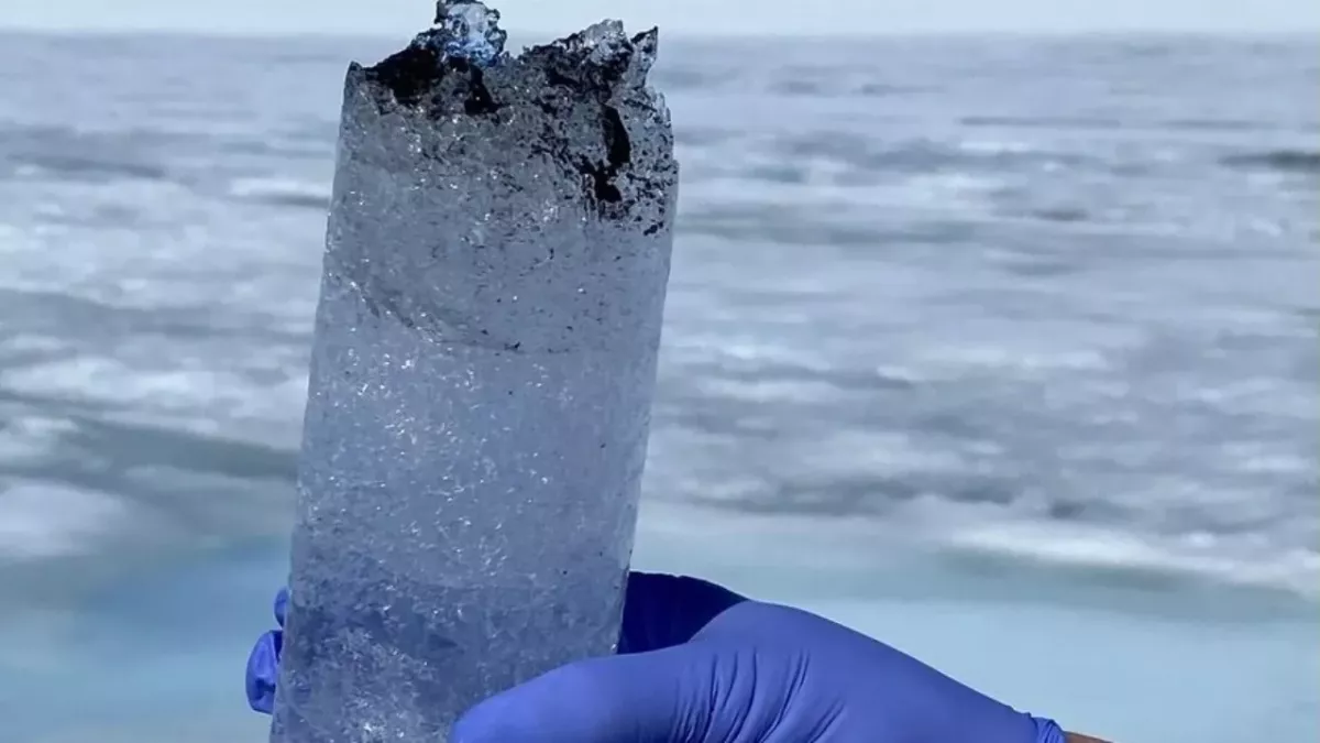 In Greenland, the spread of a 'dark zone' caused by algae worries scientists
