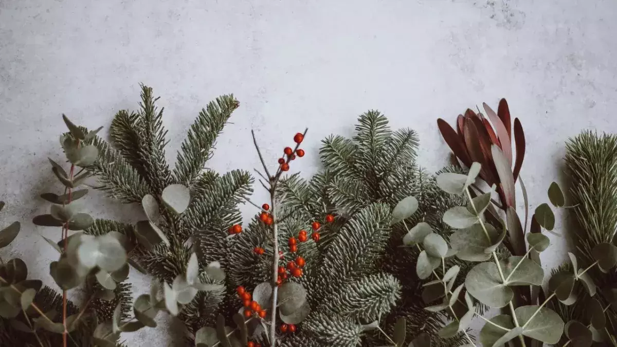 How to recycle your Christmas waste?