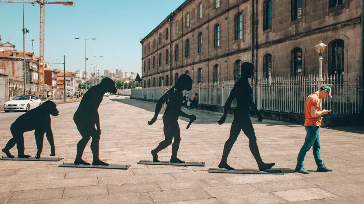 Human evolution