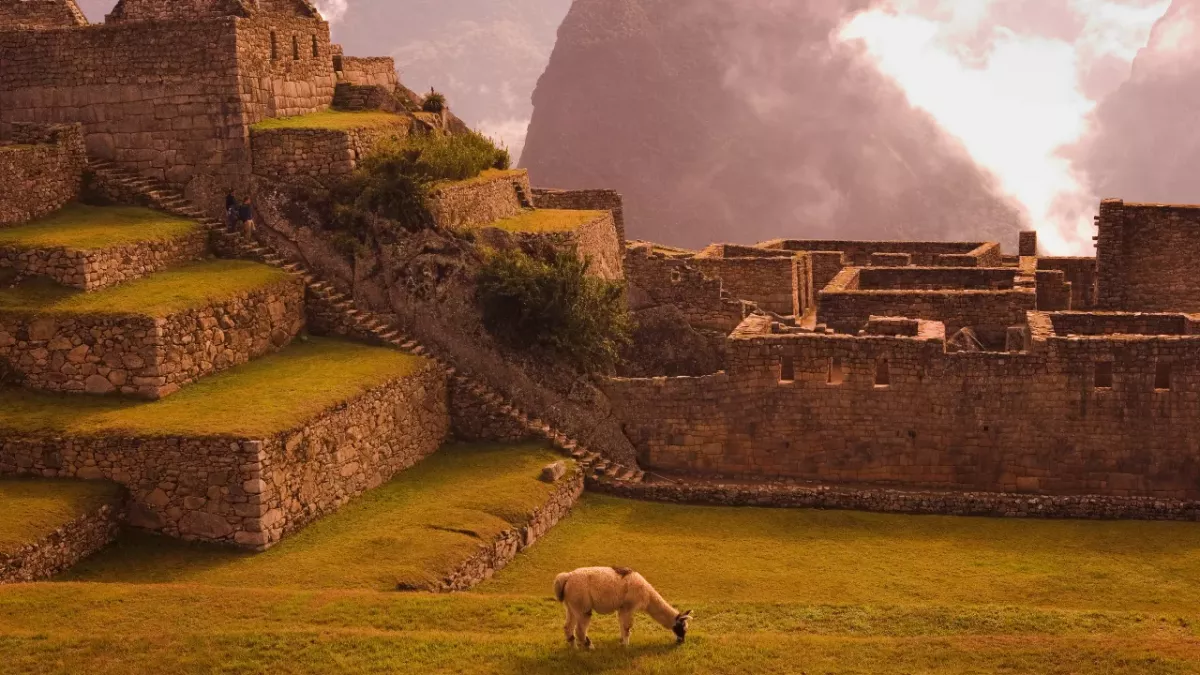 Machu Picchu