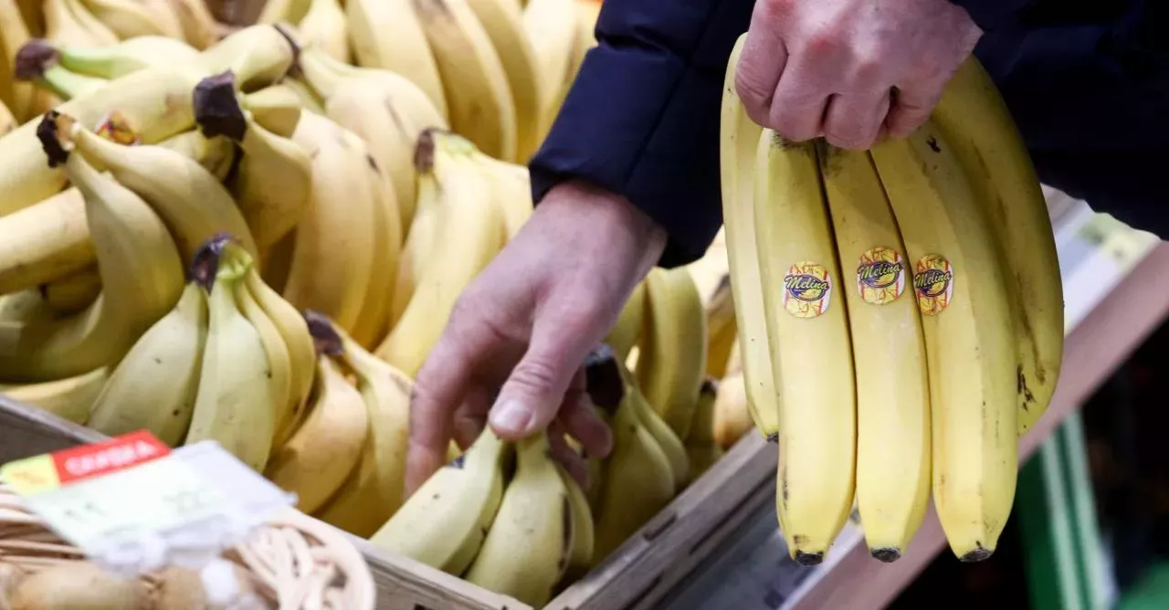 Many people have found some 'surprises' in their bananas in the past