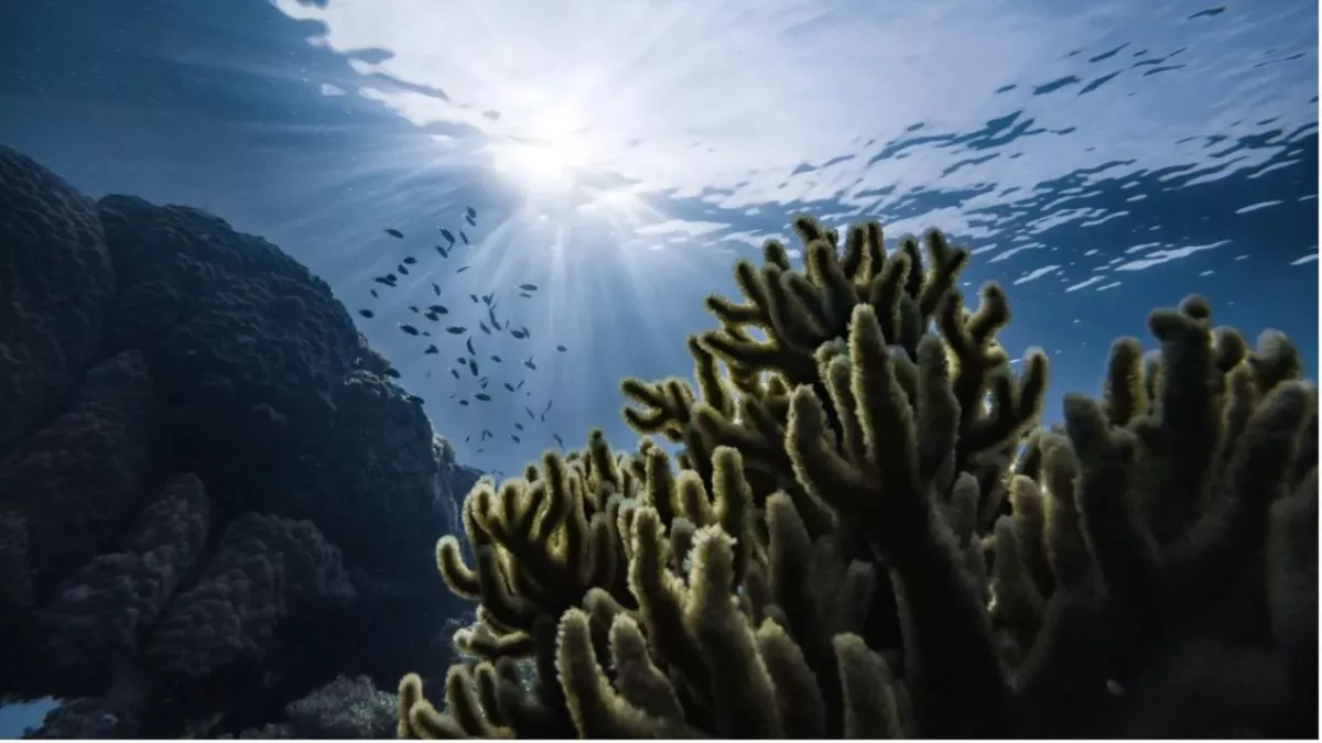 Massive 'blue hole' discovered in the heart of the Great Barrier Reef