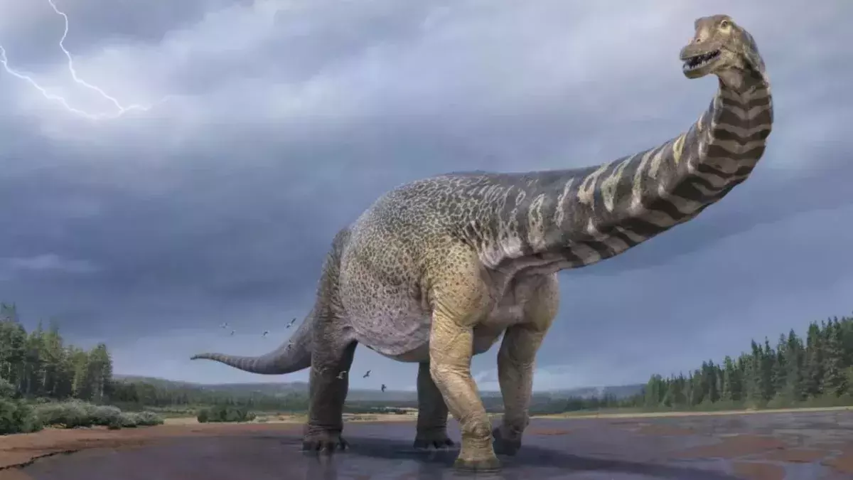 Meet Australotitan, the largest dinosaur ever unearthed in Australia
