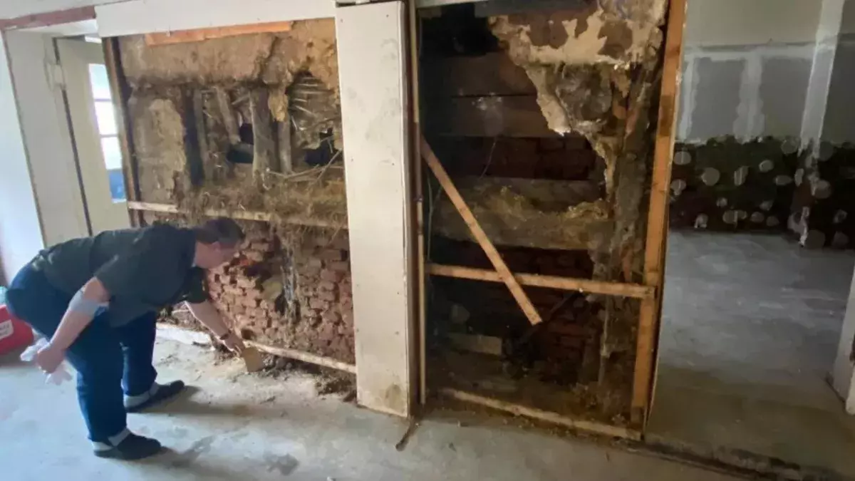 Nazi cache discovered in German home