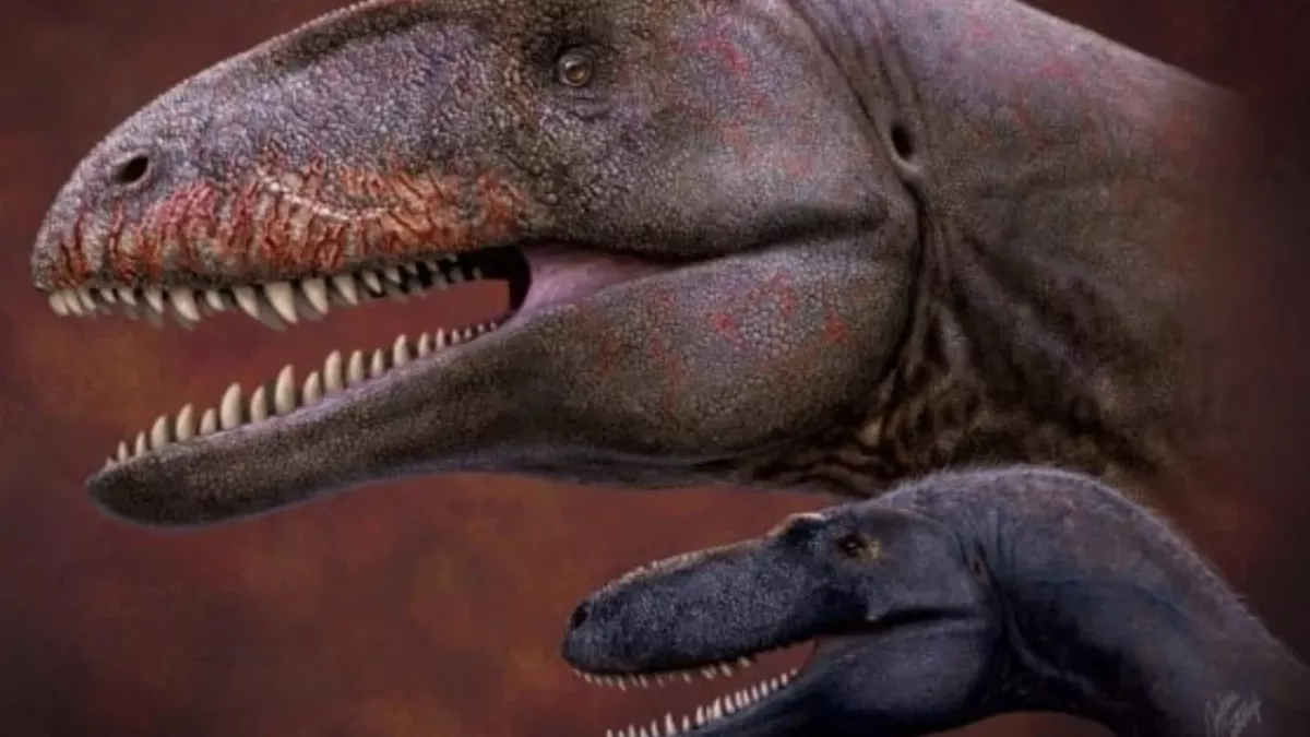 Newly discovered gigantic dinosaur with shark-like-teeth was fiercest predator