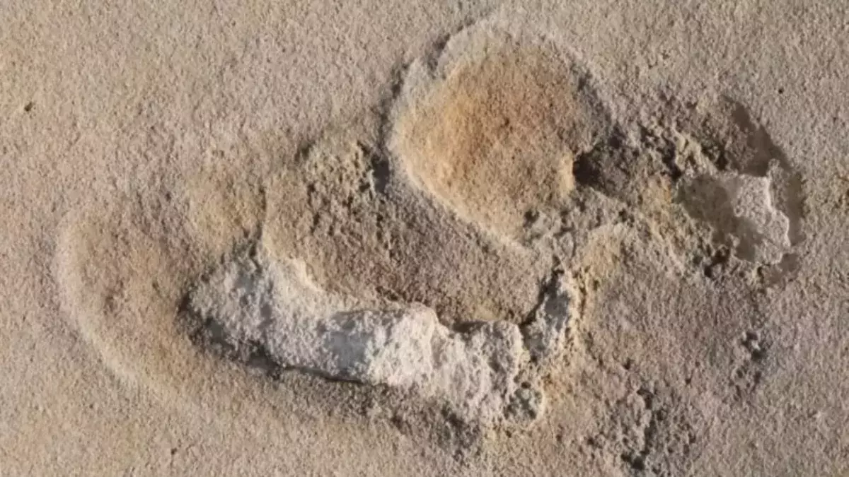 Oldest footprints of pre-humans discovered in Crete