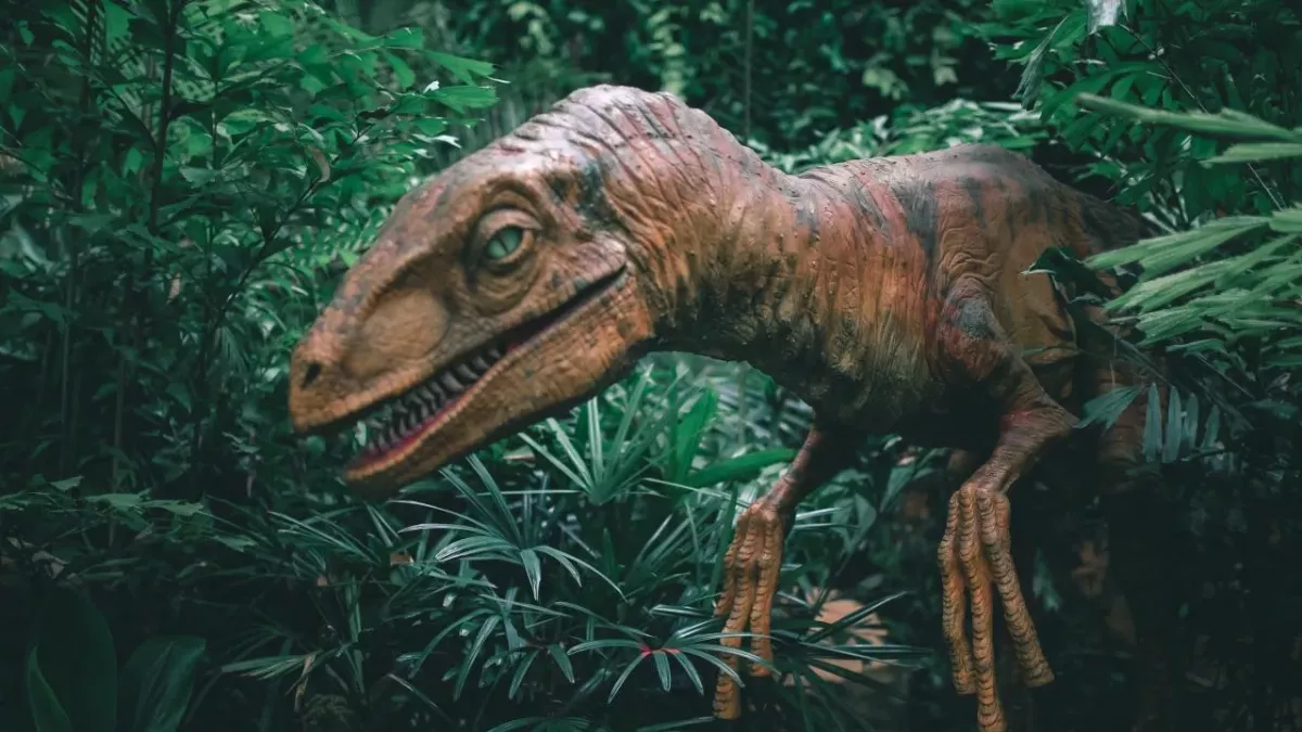 Retired doctor discovers new species of big-nosed dinosaur