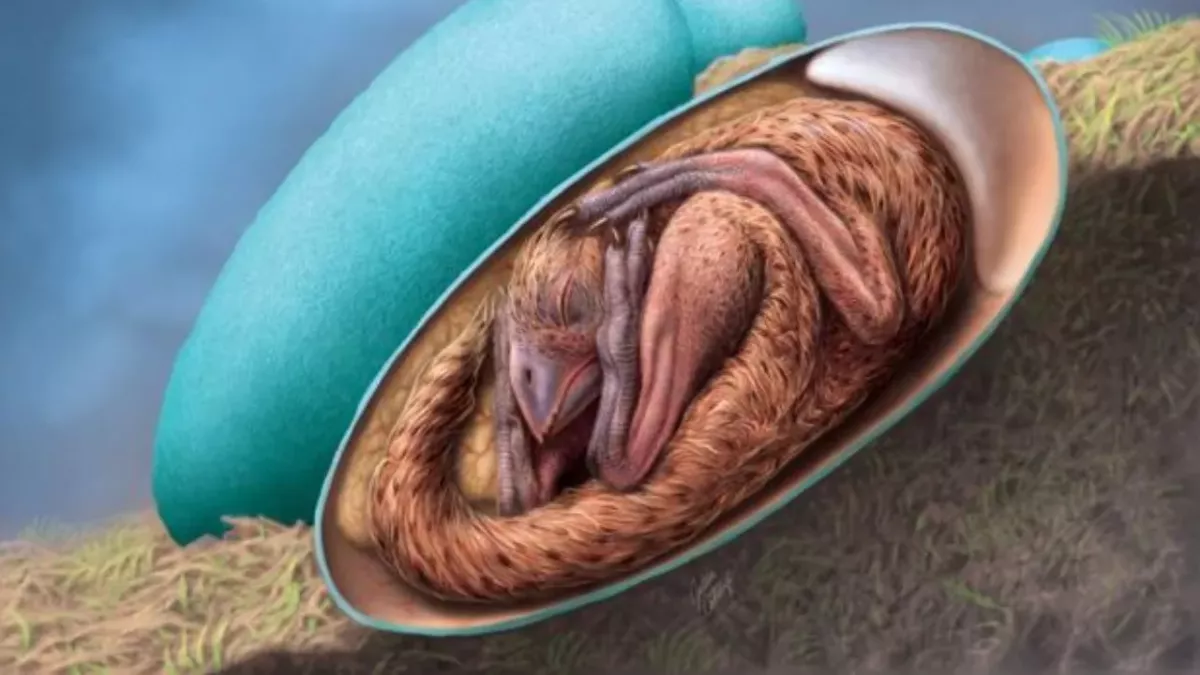 Scientists discover impeccably preserved dinosaur embryo 66 million years on