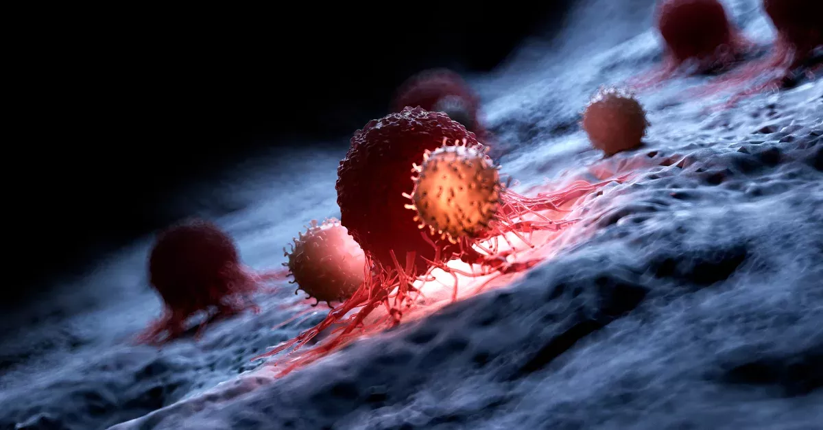 Scientists Have Discovered By Chance A Cell That Can Attack Most Cancers