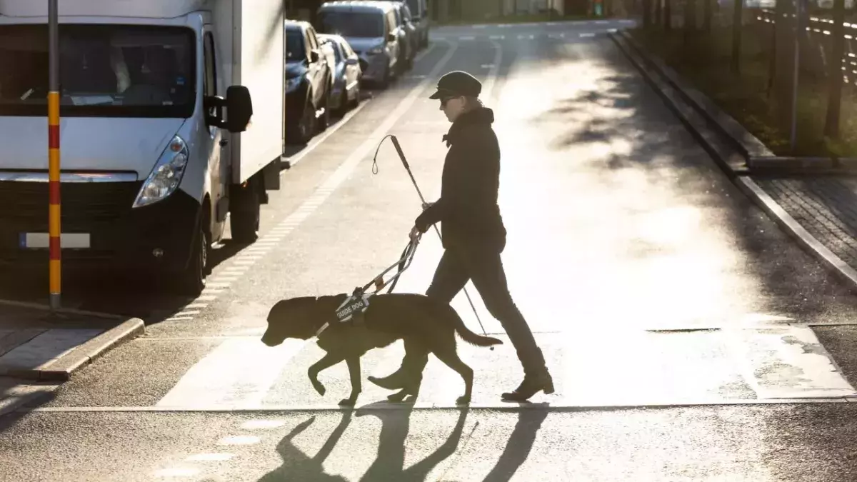Scientists have partially restored a blind man's vision through gene therapy