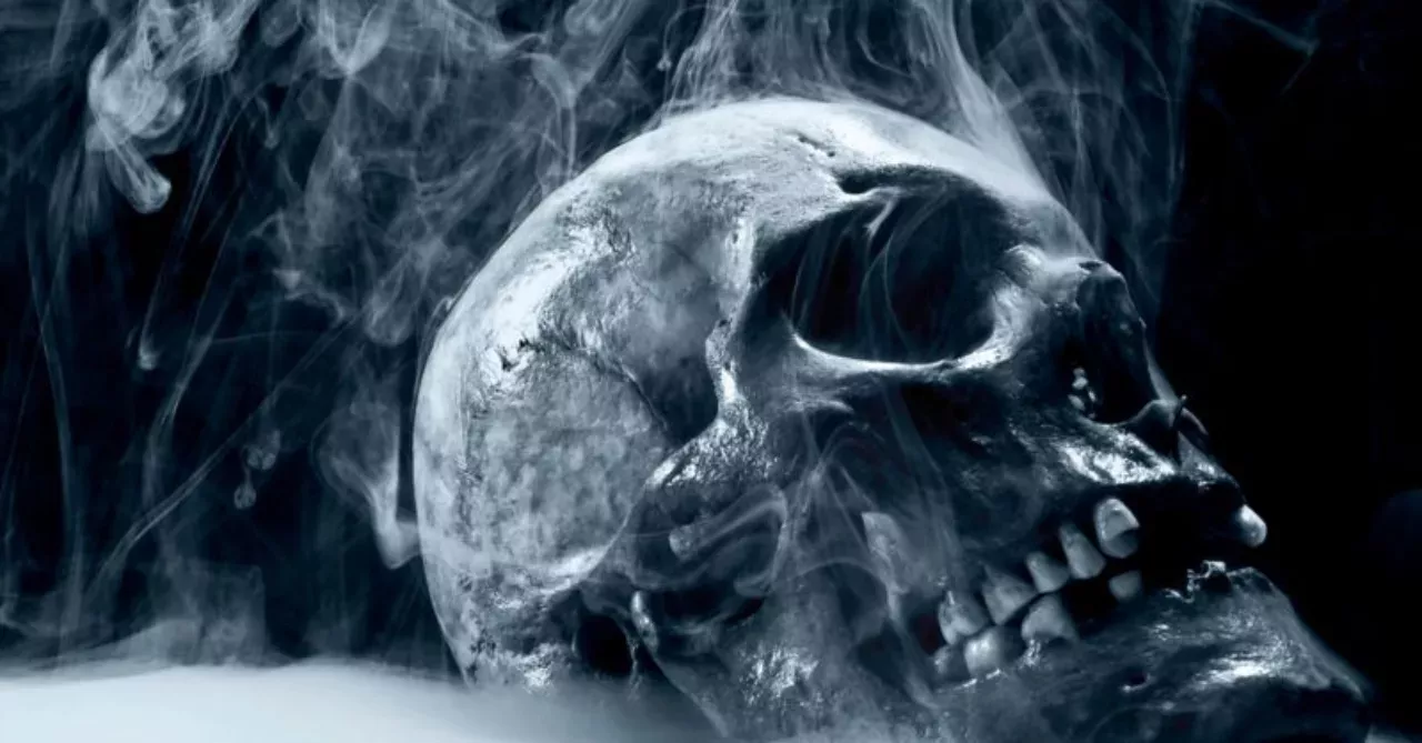 skull