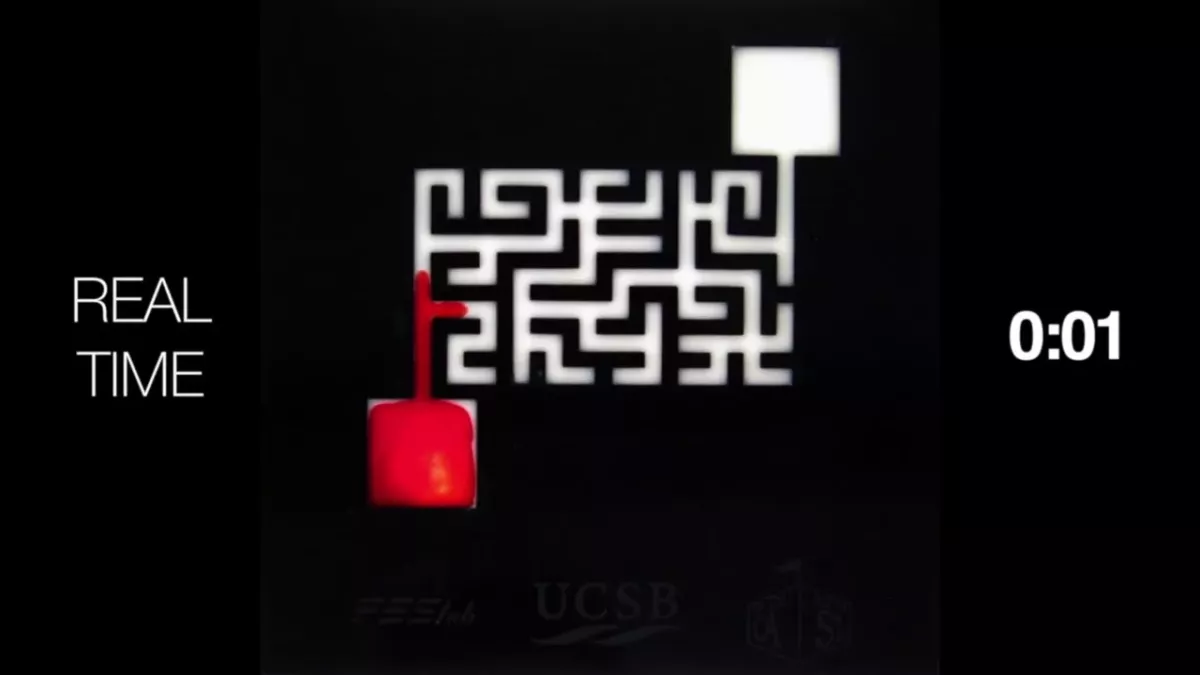 The soap appears to consciously find the quickest way out of the maze.