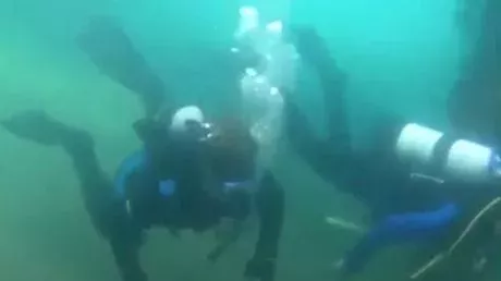 A strange creature was found in the depths of the ocean, off the coast of Mexico.