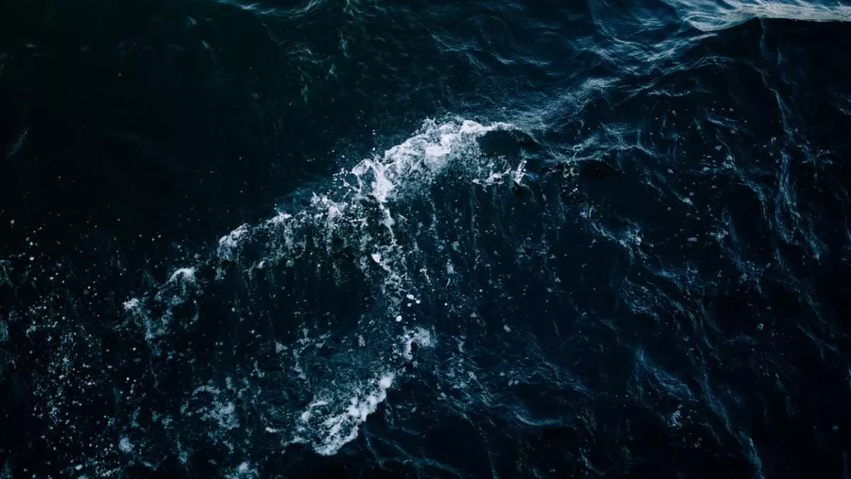 This is the terrifying discovery made in the deepest part of the ocean