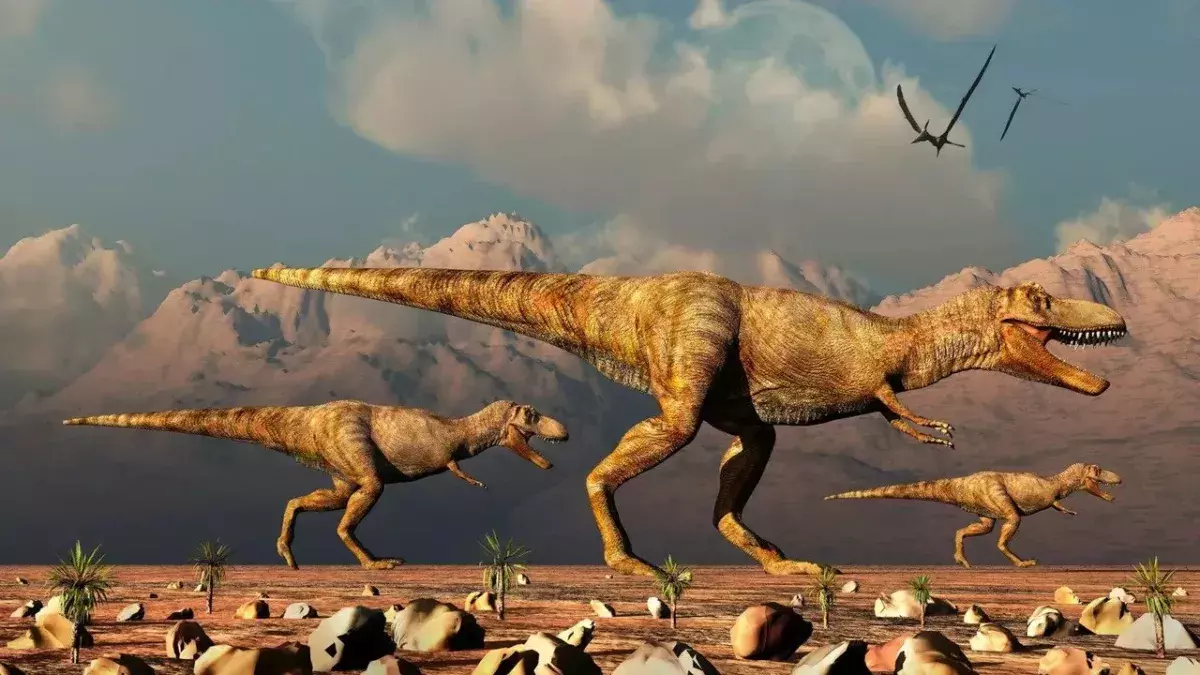 There were so many more T.Rexes on Earth than we thought