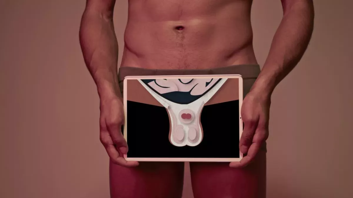 These are the surprising similarities between your testicles and your brain