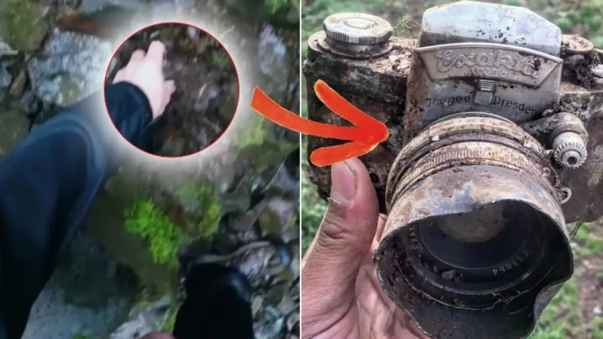 They made an incredible discovery while hiking in the woods