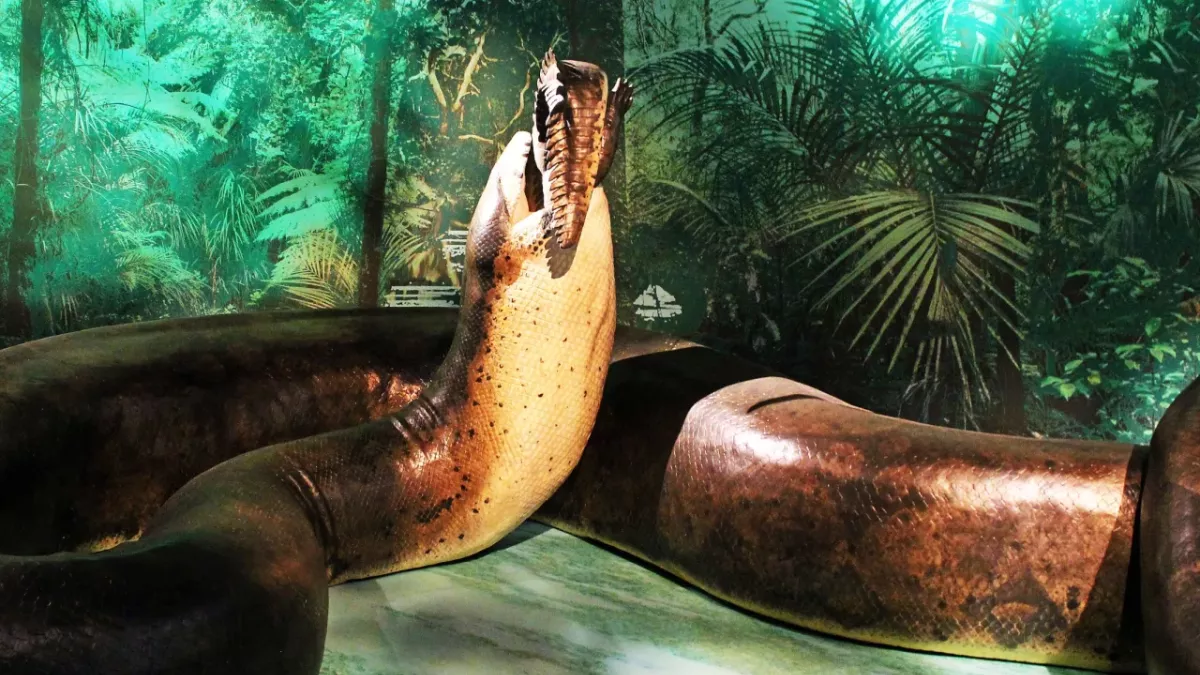 Titanoboa