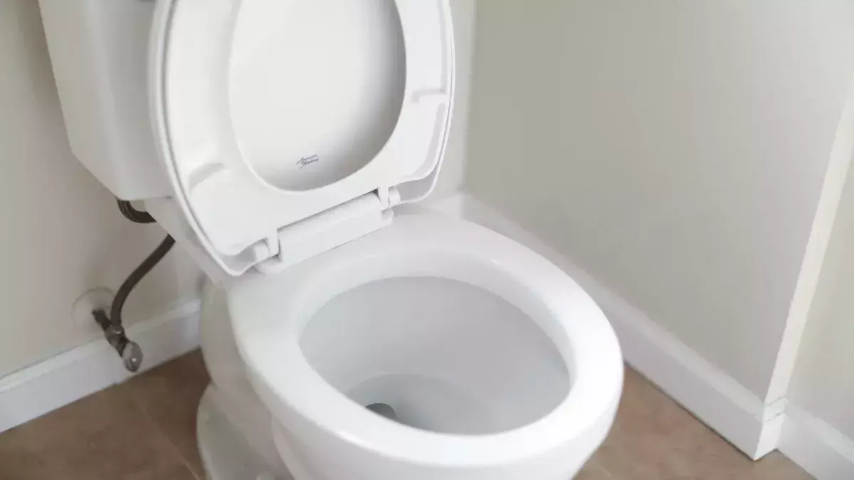 Toilet bowl