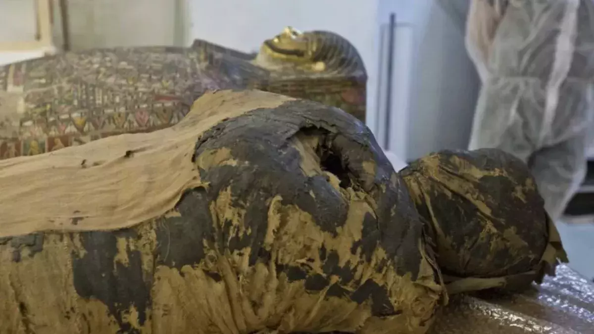 Unique pregnant mummy of a identified by X-ray