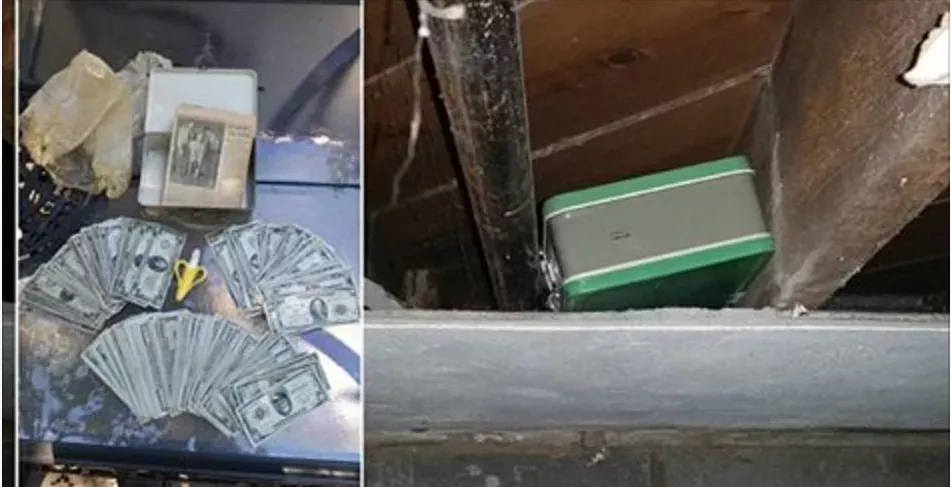 23,000 dollars found in cellar