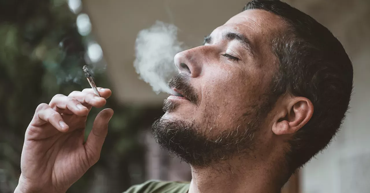 75% of the cannabis sold on the streets is said to contain faecal matter