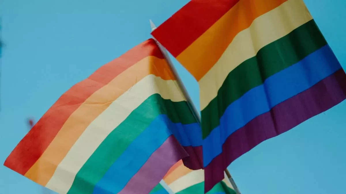 Almost a third of millennials identify as LGBTQ,+ study finds 