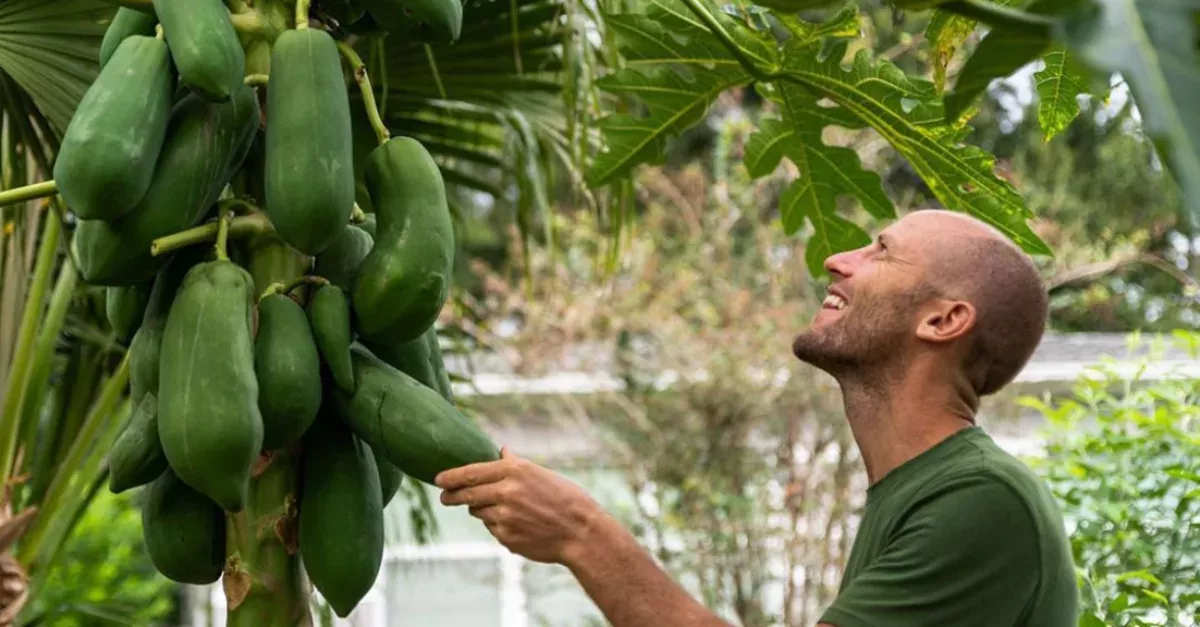 This American Decided To Grow And Forage All Of His Own Food