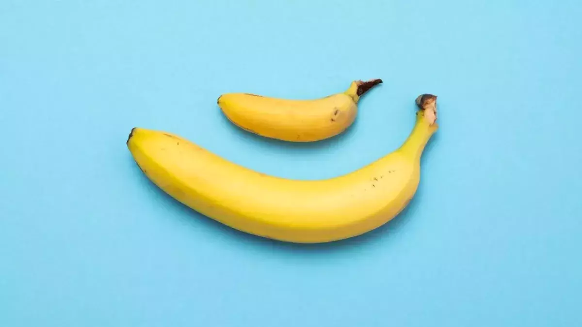 Are you a grower or a shower? This study explains the difference
