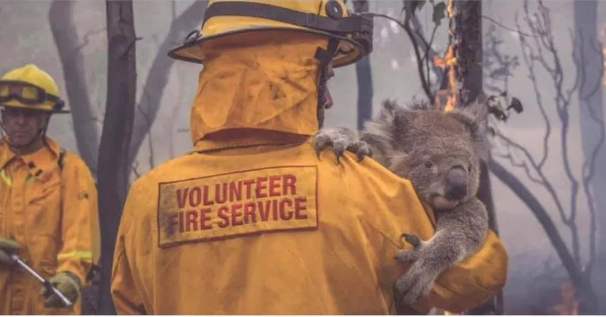 Australia: Shocking Images Of A Country That Is Being Destroyed By Climate Change