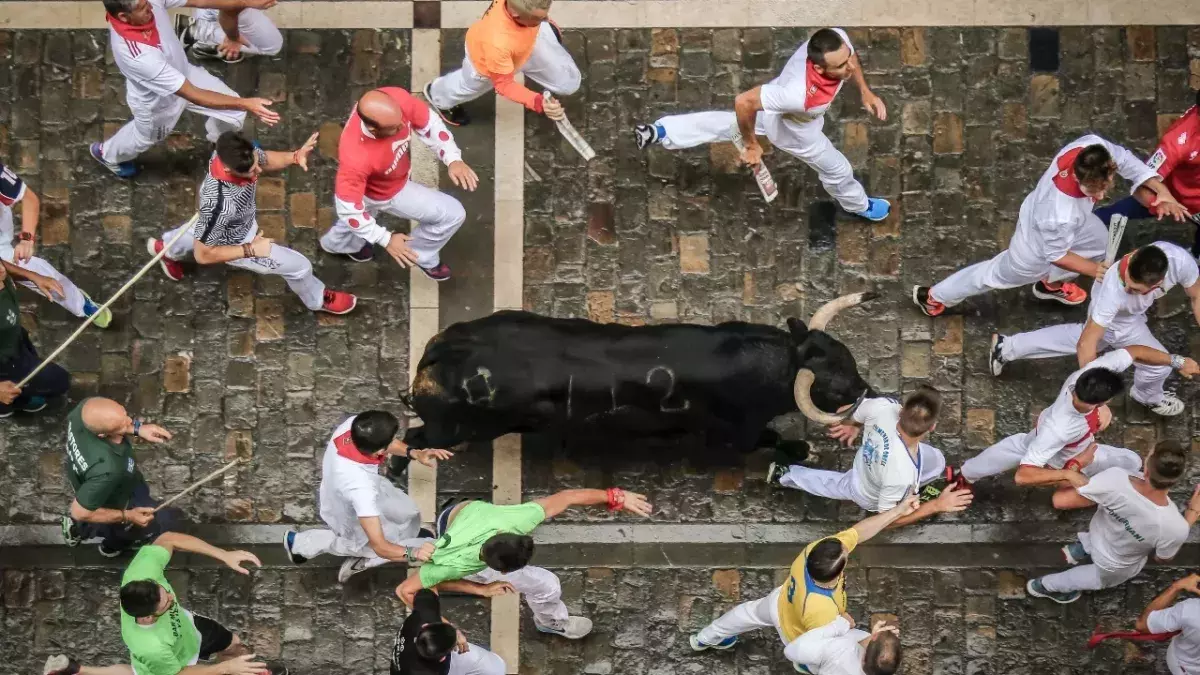 Bull running in Spain 