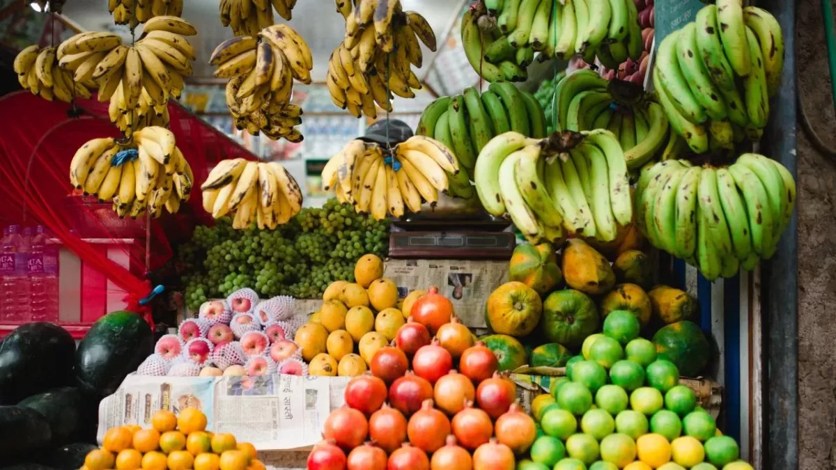 Cocaine Found Hidden in Banana Shipment in Canada