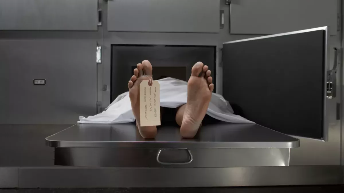 Coming Back From the Dead Is Not As Uncommon as You Might Think