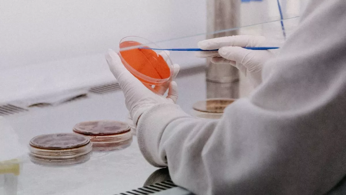 COVID variant under investigation