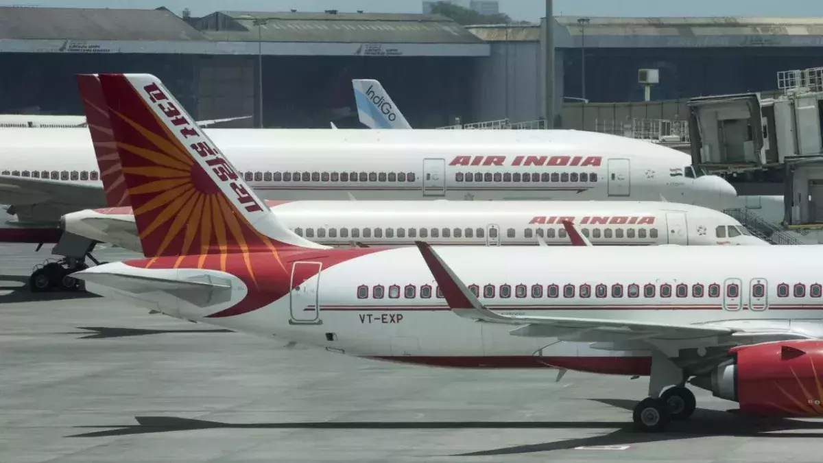 Delhi-London flight delayed after ants were found in business class